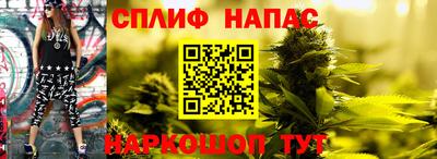 мдпв Волжск