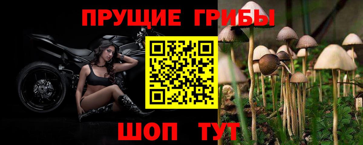 Галлюциногенные грибы мухоморы Благодарный